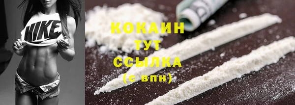 винт Болохово